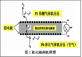 氧化锆测氧原理及维护使用